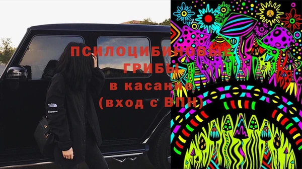 хмурый Краснослободск