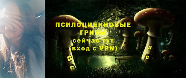 хмурый Краснослободск