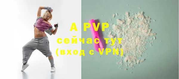 шишки Кодинск