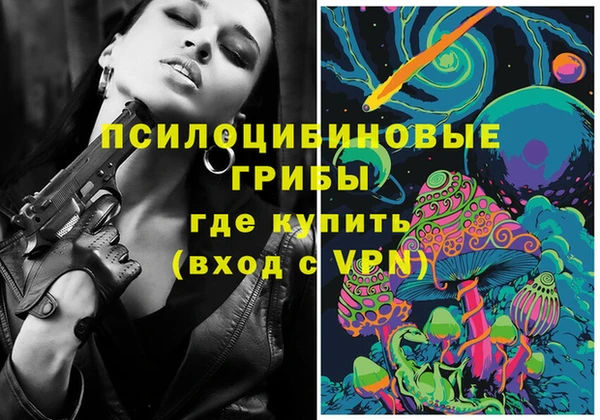 трава Коряжма