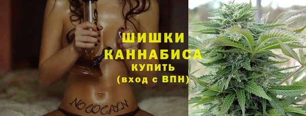 трава Коряжма