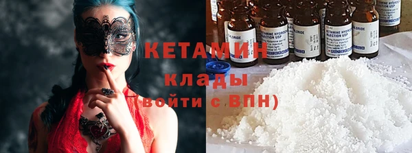 трава Коряжма